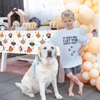 Hegbolke 81 Pcs Dog Party Decorations – Plates, Napkins, Puppy Tablecloth & Black Forks | Kid Puppy Themed Birthday Party Supplies, Serves 20