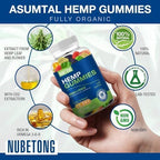 Hemp Gummies for Sleep, Pain & Anxiety — Organic High Potency Hemp Oil Gummies (2 Packs)