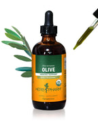 Herb Pharm Certified Organic Olive Leaf Liquid Extract for Immune Support, 4 Fl Oz