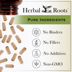 Herbal Roots Ginger Supplement | Organic Ginger Root Capsules | 1,200 mg per Serving