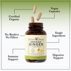Herbal Roots Ginger Supplement | Organic Ginger Root Capsules | 1,200 mg per Serving