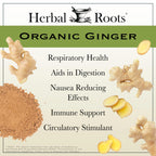 Herbal Roots Ginger Supplement | Organic Ginger Root Capsules | 1,200 mg per Serving