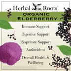 Herbal Roots Organic Black Elderberry Capsules - Max Strength | 60 Vegan Capsules