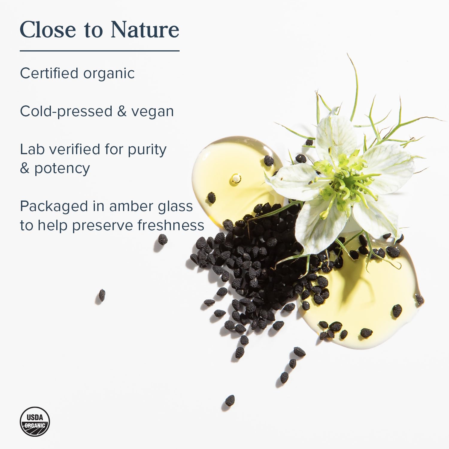 HERITAGE STORE Bio Schwarzkümmelöl – kaltgepresstes Nigella Sativa, 473 ml | Unterstützung für Immunsystem & Verdauung