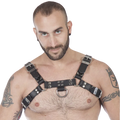 Titus H-Front Leather Chest Harness | Black