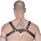 Titus H-Front Leather Chest Harness | Black