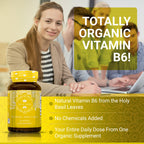 Holy Basil Capsules - USDA Organic Vitamin B6 | High Strength Tulsi 15:1 Extract | 60 Vegan Pills
