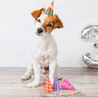 Hooqict 10 Pcs Mini Party Hats for Stuffed Animals & Kids – Glitter Cone Hats, Assorted
