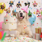 Hooqict Dog Birthday Banner - Puppy Themed Party Decorations & Backdrop Garland (10 Flags)