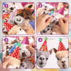 Hooqict Llama Birthday Banner Garland – Customizable 10-Expression Party Decor