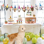 Hooqict Llama Birthday Banner Garland – Customizable 10-Expression Party Decor