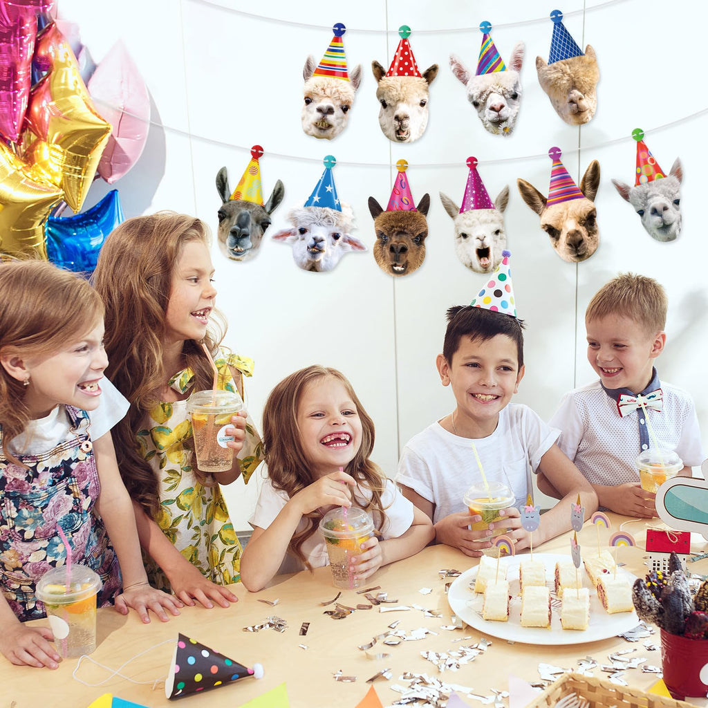 Hooqict Llama Birthday Banner Garland – Customizable 10-Expression Party Decor