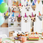Hooqict Llama Birthday Banner Garland – Customizable 10-Expression Party Decor