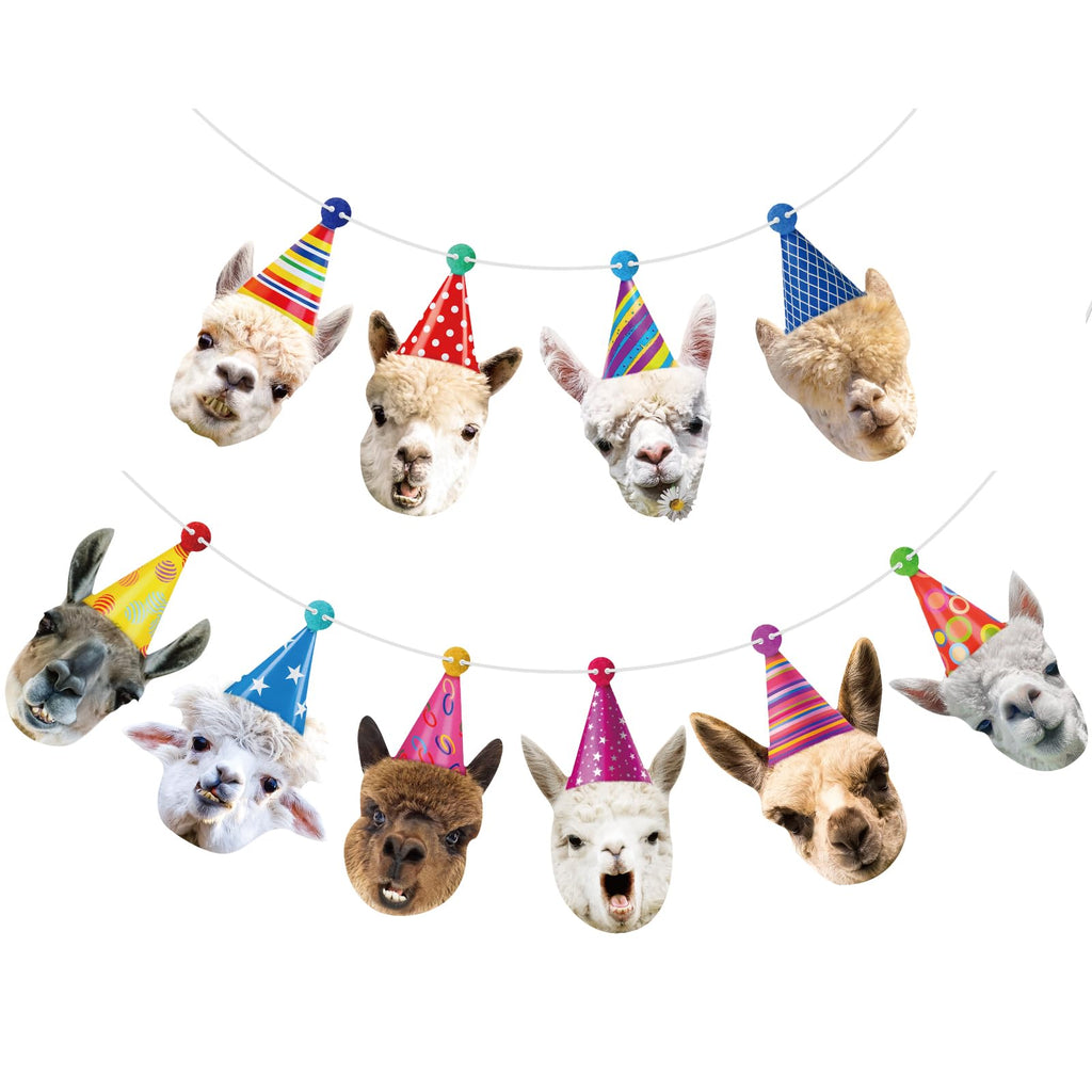Hooqict Llama Birthday Banner Garland – Customizable 10-Expression Party Decor