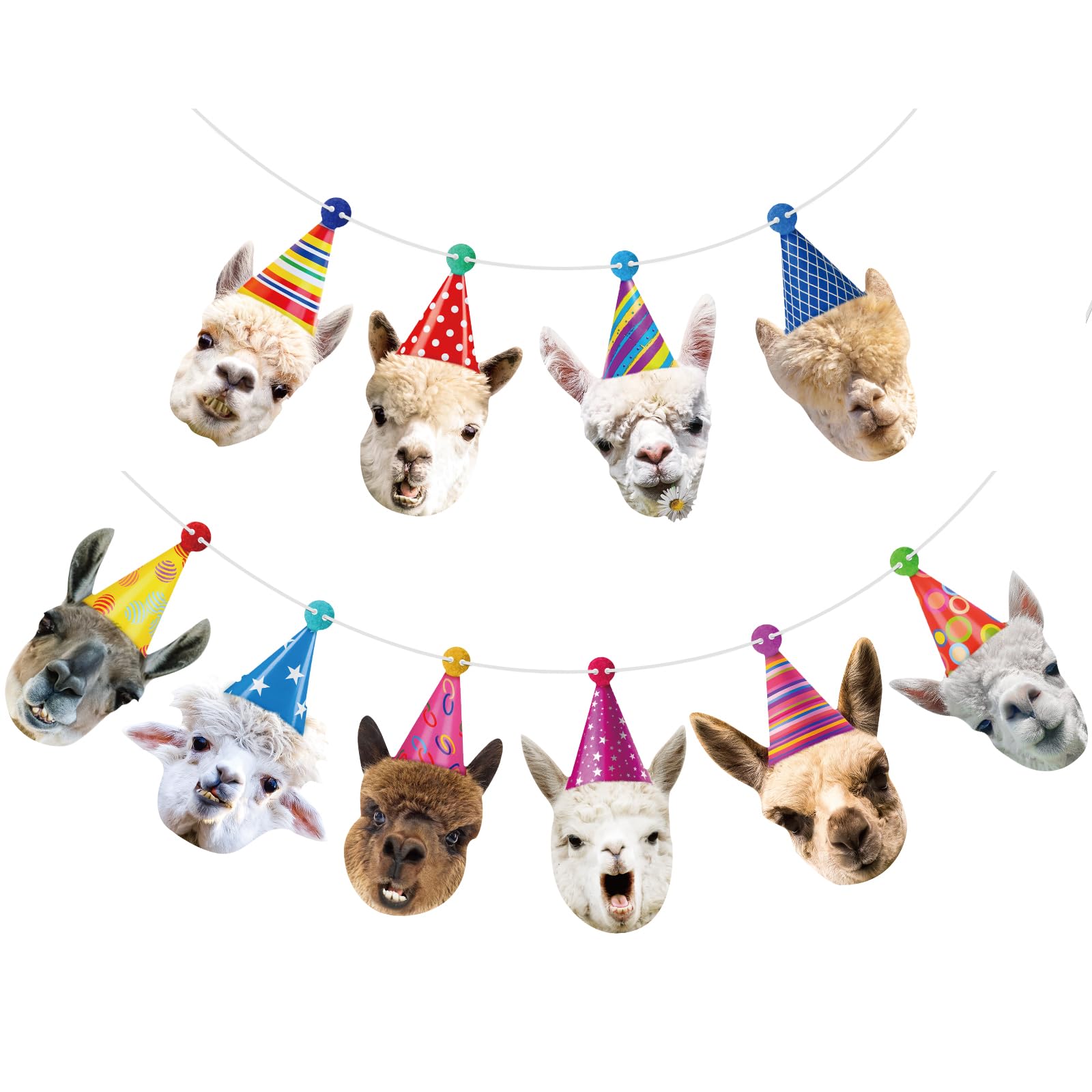 Hooqict Llama Birthday Banner Garland – Customizable 10-Expression Party Decor