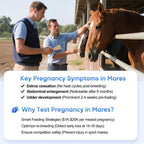 Horse Pregnancy Test Kit for Mares - Rapid Urine Test Strips, 10 Minutes, Easy-to-Use Breeding Detection (18-90 Days After Breeding)