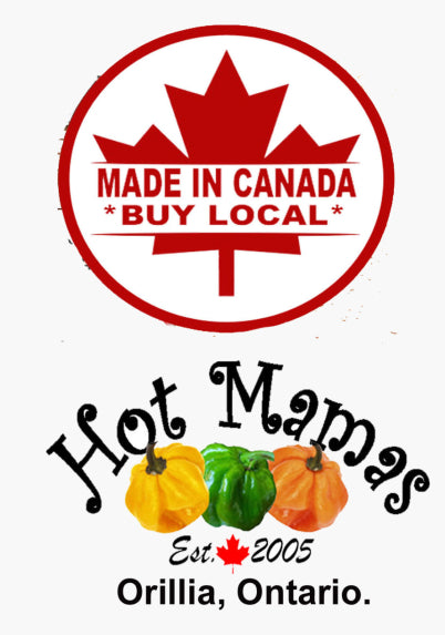 Ice Screamers - Cafe Mocha - Case of 5 x 300ml Squeeze Bottle Format - Made in Canada - Canadian Distribution