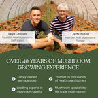Real Mushrooms Turkey Tail Capsules – Organic Mushroom Extract, 200 Count