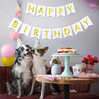 Imtively Happy Birthday Banner – White & Gold Decor, Dovetail Cards, 5m Ribbon, Easy Assembly