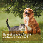 Indian Psyllium Seeds for Dogs, Cats and Horses 1KG