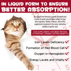 Iron Supplements for Cats - 60ML Liquid Iron with Folate and B12 | Supports Anemia, Energy Levels, and Blood Health