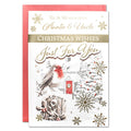 to a  wonderful auntie & uncle  Christmas  wishes card