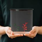 PawHut 3L Small Fish Tank with Filter System, LED Light, Small Fish Tank for Betta, Goldfish, Shrimp, Black