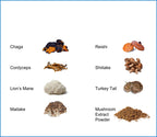 Jetsu Pure 7 Organic Mushroom Extract Powder, Chaga, Cordyceps, Lion's Mane, Maitake, Reishi, Shiitake & Turkey Tail Mushrooms Supplement, for Immune Support, Focus, Energy