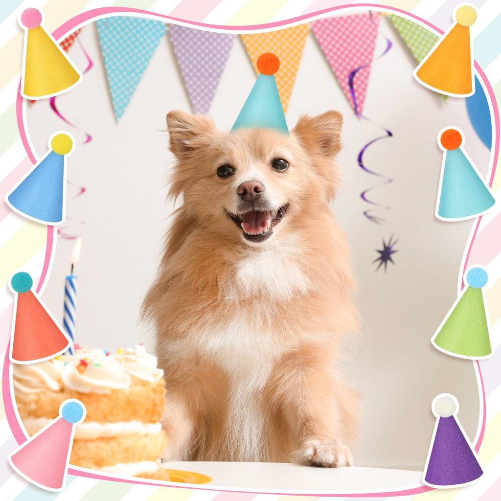Joottuan 24 Pcs Mini Party Hats for Stuffed Animals | DIY Birthday Hat Decor for Dolls & Pets