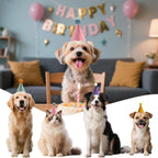 Kezzfpa 12 Pcs Colorful Mini Party Hats for Stuffed Animals – Felt Cone Hats for Pets & Plush Toys