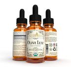 Khroma Organic Olive Leaf Liquid 2 oz – Pack of 2 | 30 Servings | Alcohol-Free