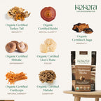 Kokora 7 Mushroom Mocha Organic Adaptogenic Powder: Lion's Mane & Turkey Tail