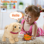 Koonie Talking Plush Golden Retriever Toy — Repeats What You Say, Walks and Barks