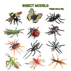 Kukifun 20Pcs Insect Toy Figures – Realistic Bug Set for Kids, Party Favors & Cake Toppers