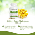 Real Mushrooms Ergothioneine Supplement – Golden Oyster Mushroom Extract, 60 Capsules – Organic, Vegan, Non-GMO