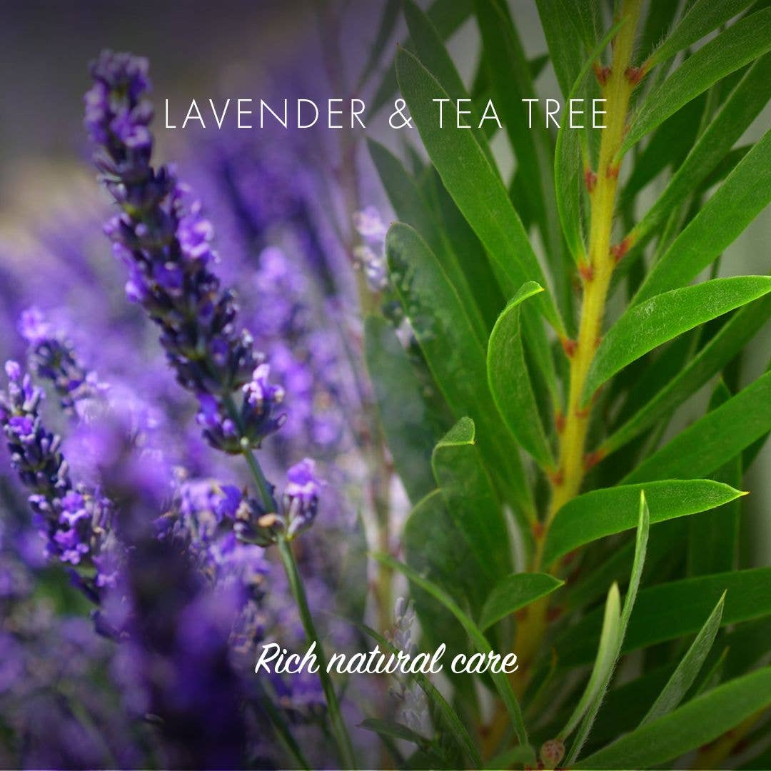 Lavendel & Teebaum Shampoo Bar – Umweltfreundlich