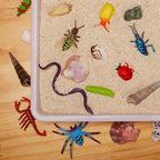 Laxdacee 100 Pcs Realistic Mini Bugs – Kids Insect Figures, Party Favors