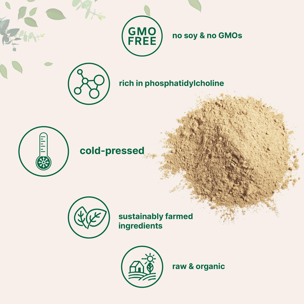 Bio Sonnenblumenlecithin Pulver – 454g, kaltgepresst & gentechnikfrei