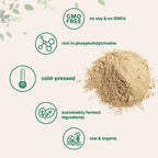 Bio Sonnenblumenlecithin Pulver – 454g, kaltgepresst & gentechnikfrei
