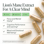 Lions Mane Mushroom Capsules – Memory, Focus & Mood Support | USDA Organic, Vegan, 120 Caps