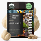 Lions Mane Mushroom Capsules – Memory, Focus & Mood Support | USDA Organic, Vegan, 120 Caps