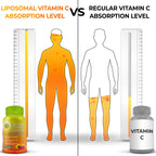Liposomal Vitamin C 1100mg Liquid Gel Capsules – Organic Acerola Cherries | 120 ct