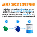 Lone Star Botanicals Organic Blue Spirulina Powder – 300 Servings, Non-GMO, Vegan, Gluten-Free, USDA Certified