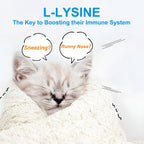 L-Lysine for Cats – 900mg (2 Scoops) Immune Support, Eye & Respiratory Health – 4.23oz (120g)