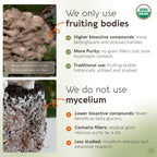 Organic Maitake Mushroom Powder 100g – 10:1 Extract | 16,600mg Raw per Serving | 30% Beta-D-Glucans