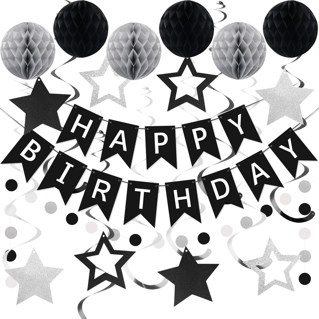 meowtastic Birthday Decorations - Happy Birthday Banner, Honeycomb Balls & Star Streamers in Black & Silver
