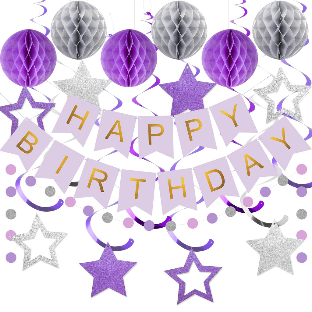 Meowtastic Birthday Decorations - Banner, Honeycomb Balls, Stars Swirls, Circle Dots (Purple & Silver)