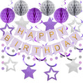 Meowtastic Birthday Decorations - Banner, Honeycomb Balls, Stars Swirls, Circle Dots (Purple & Silver)
