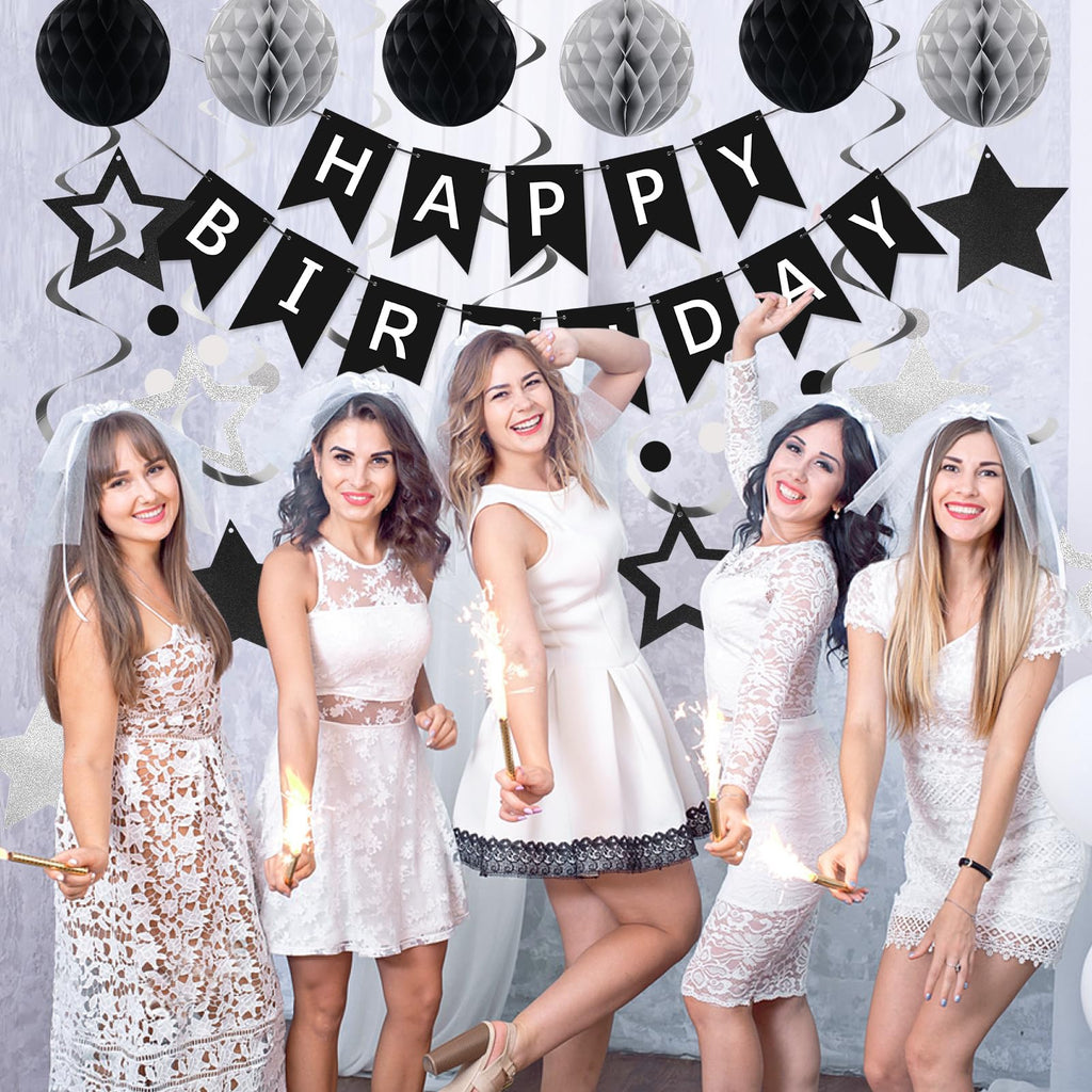 meowtastic Birthday Decorations - Happy Birthday Banner, Honeycomb Balls & Star Streamers in Black & Silver