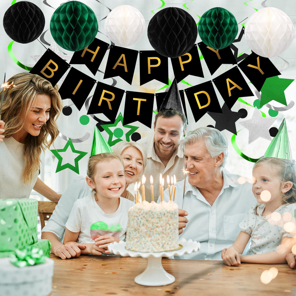 Meowtastic Birthday Decorations — Happy Birthday Banner, Honeycomb Balls, Star Swirl Streamers, Circle Dots (Green & Black)